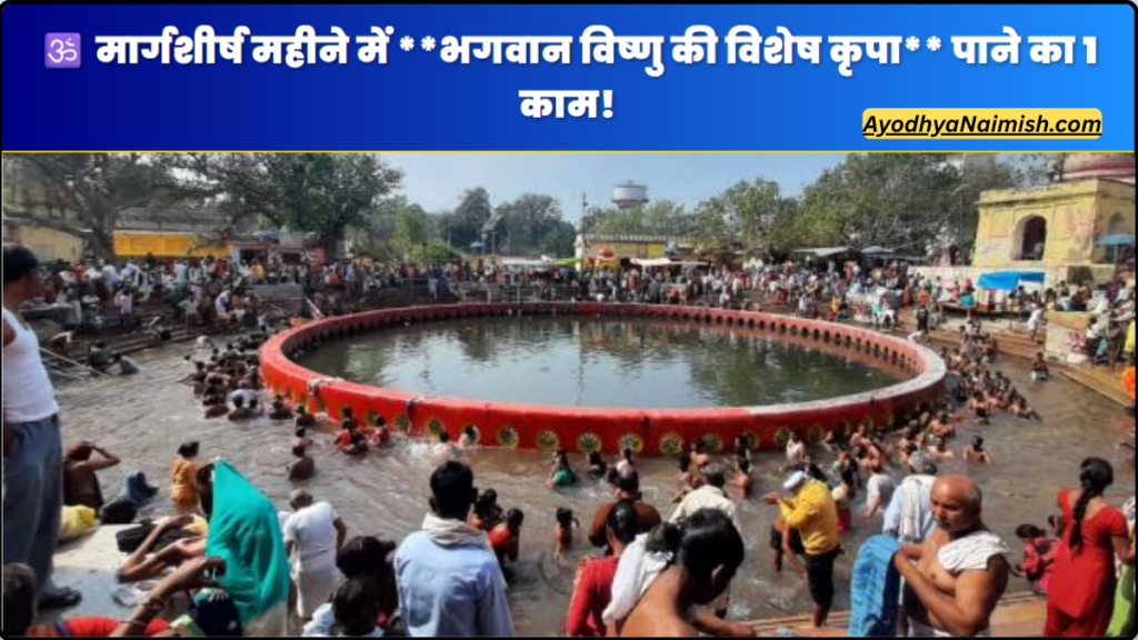 कलयुग का असर अभी तक नहीं पहुँचा! वो जगह जहाँ 88,000 ऋषि तप करते थे – नैमिषारण्य की 10 अनसुनी बातें